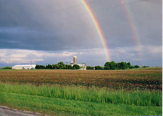 Fabrizius Farm