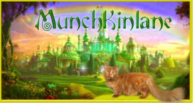 Munchkinlane Cattery