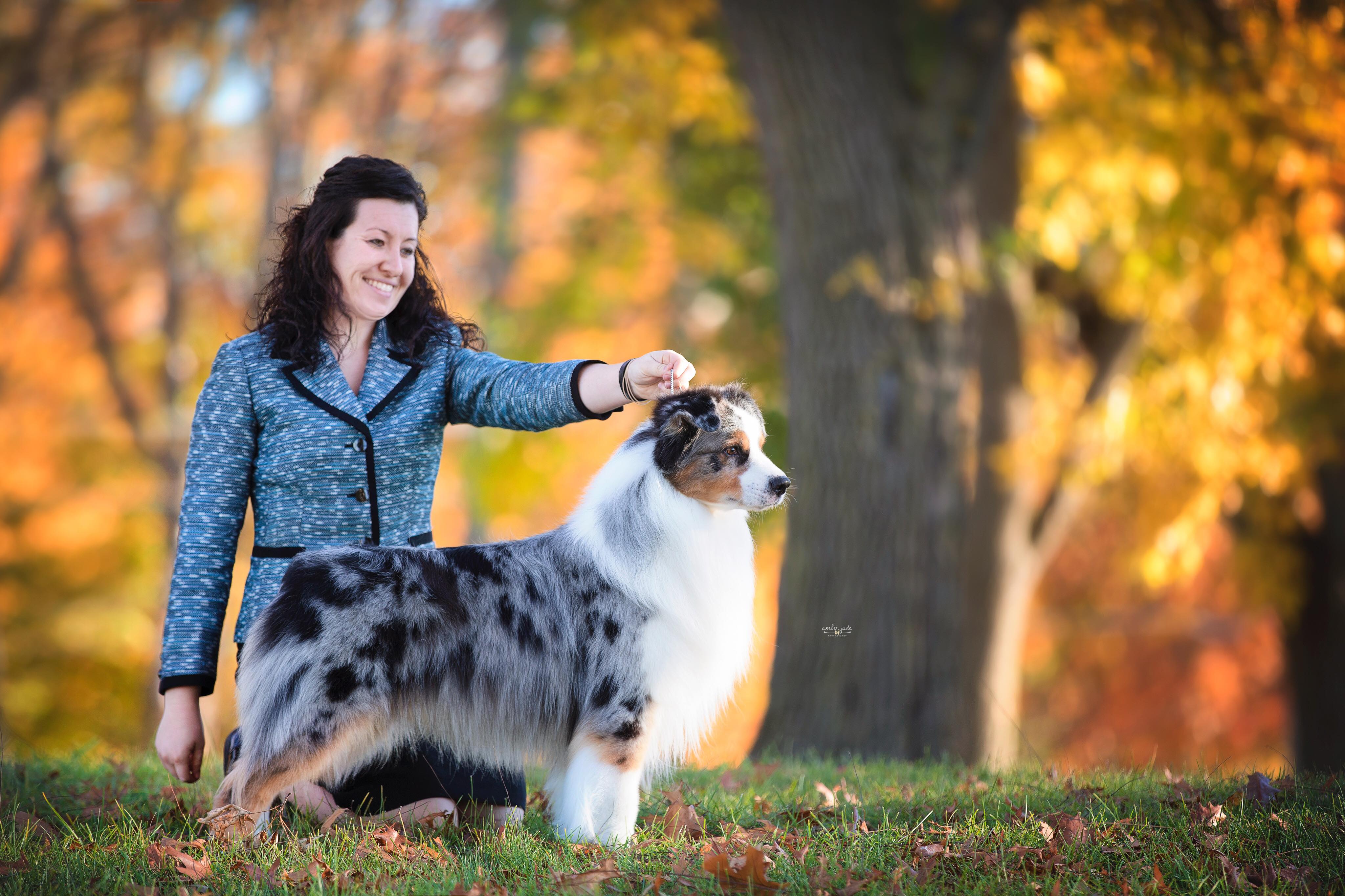 BriarRidge Australian Shepherds