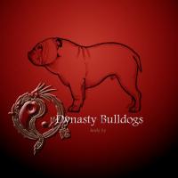 Dynasty Bulldog