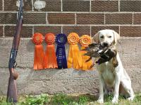 Next Generation GunDog