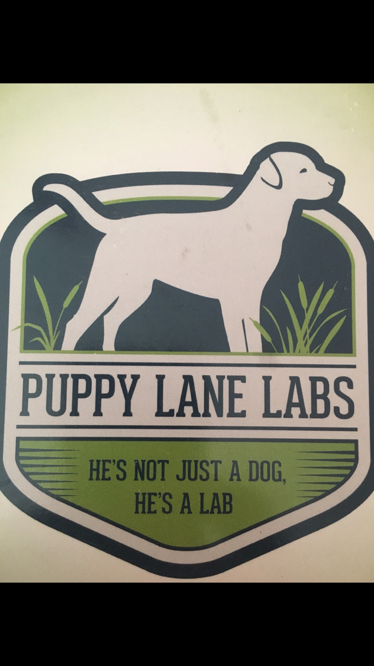 Puppy Lane Labs