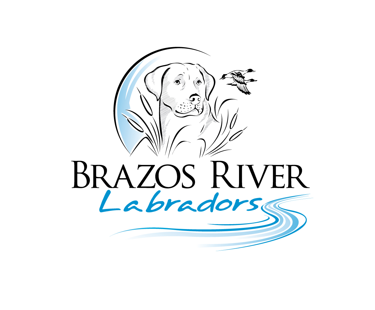 Brazos River Labradors