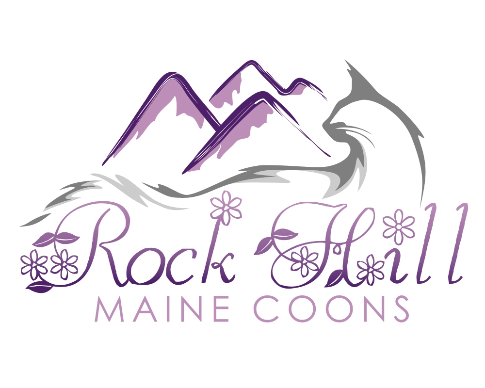 Rock Hill Maine Coons