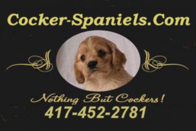 Cocker-Spaniels.com