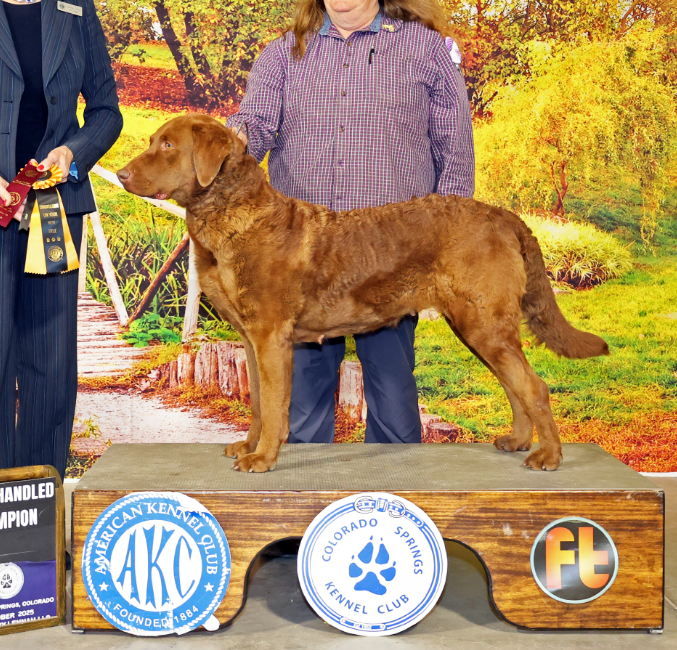 Breeder Uploaded Picture