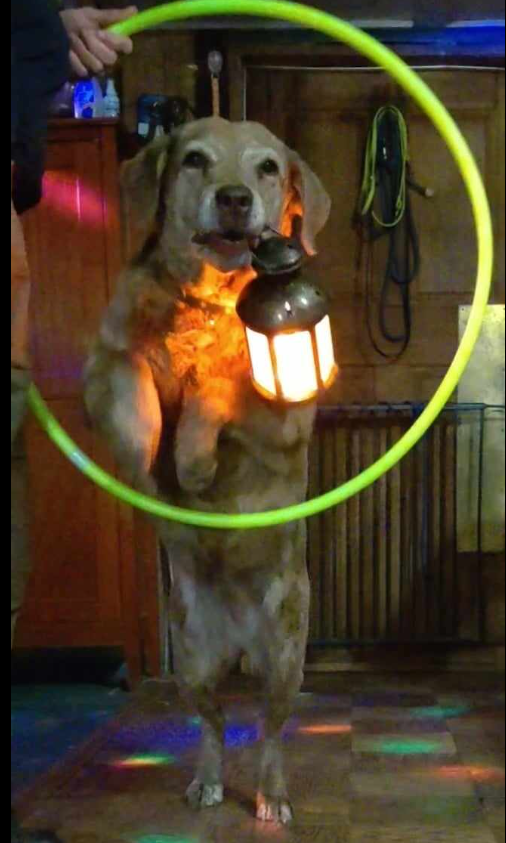 Breeder Uploaded Picture