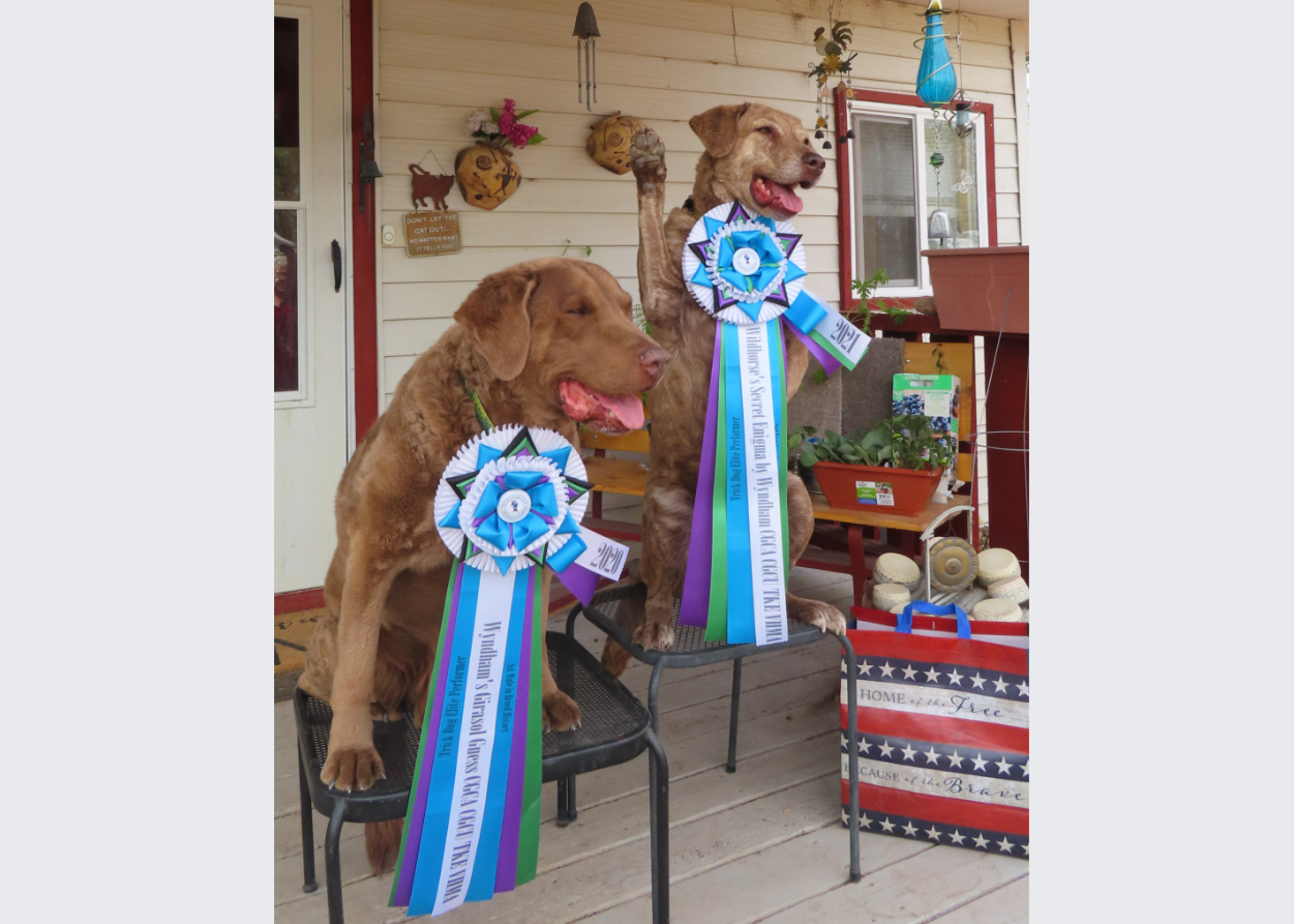 Breeder Uploaded Picture