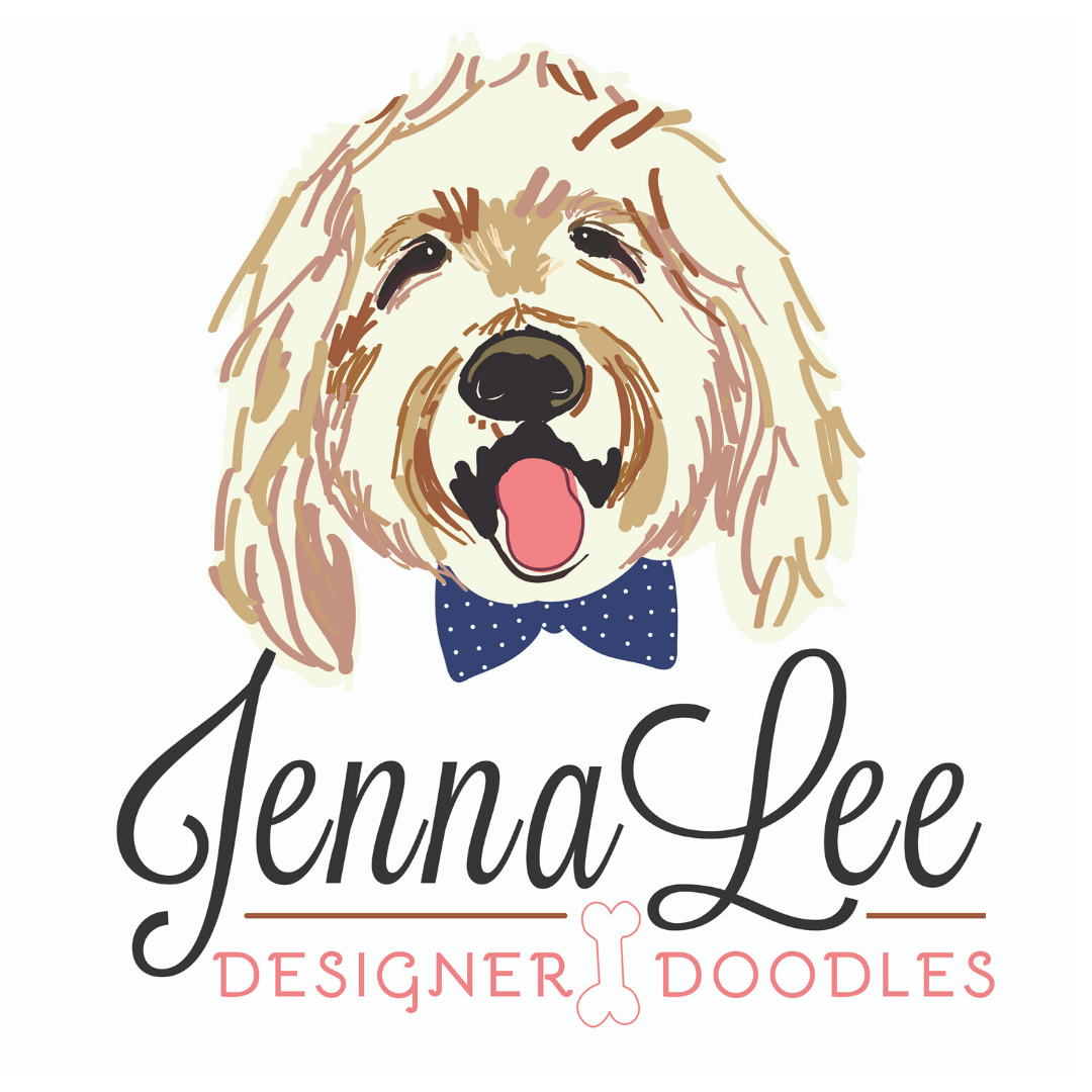 JennaLee Designer Doodles Goldendoodle Picture