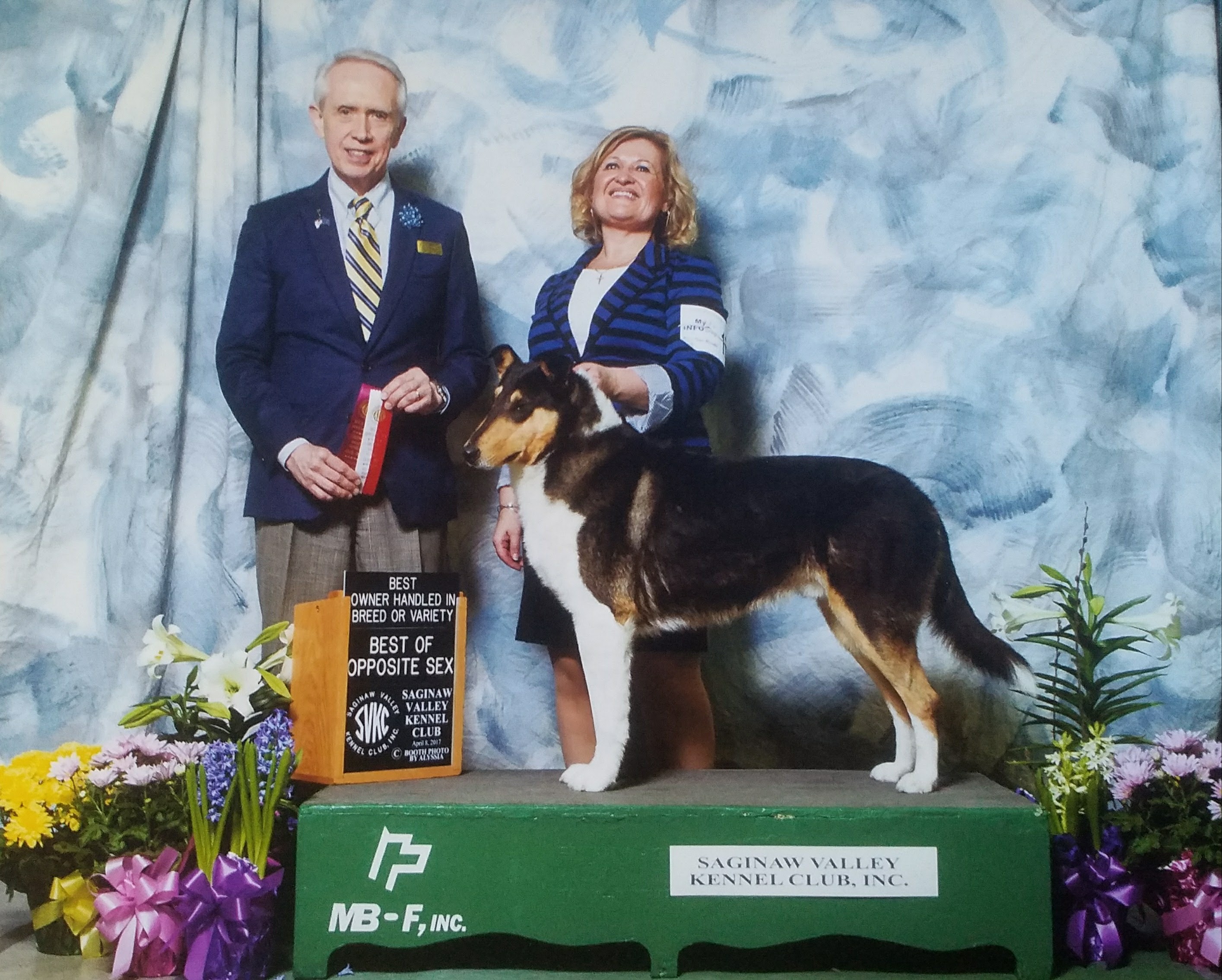 River-Valley Collies Collie Picture