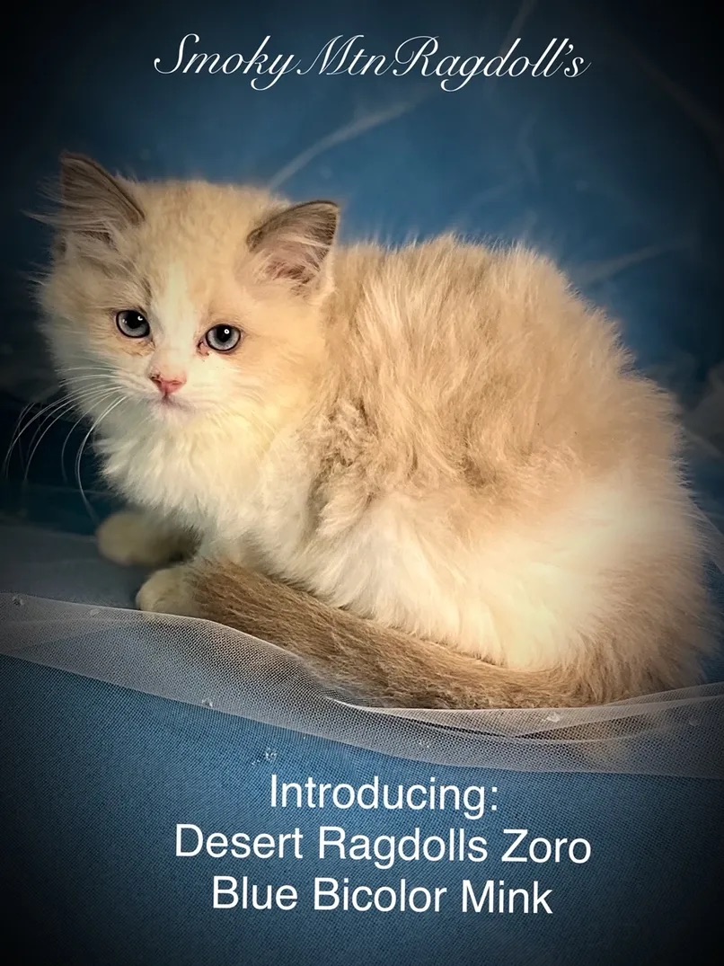 Breeder Uploaded Picture