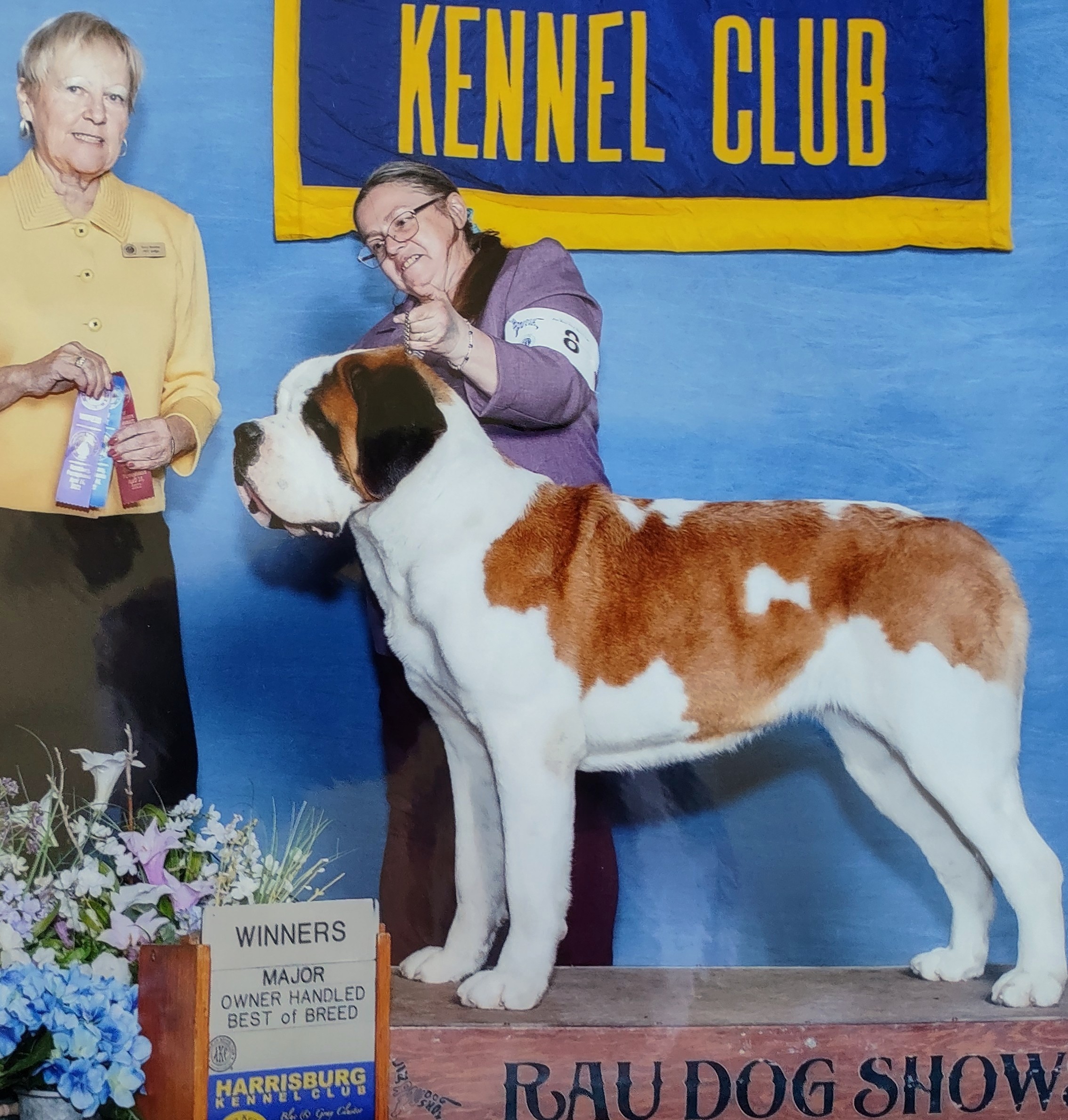 Breeder Uploaded Picture