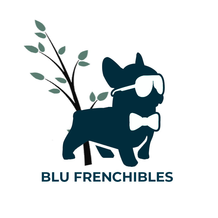 BluFrenchibles French Bulldogs