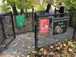 Morningside Dog Run picture