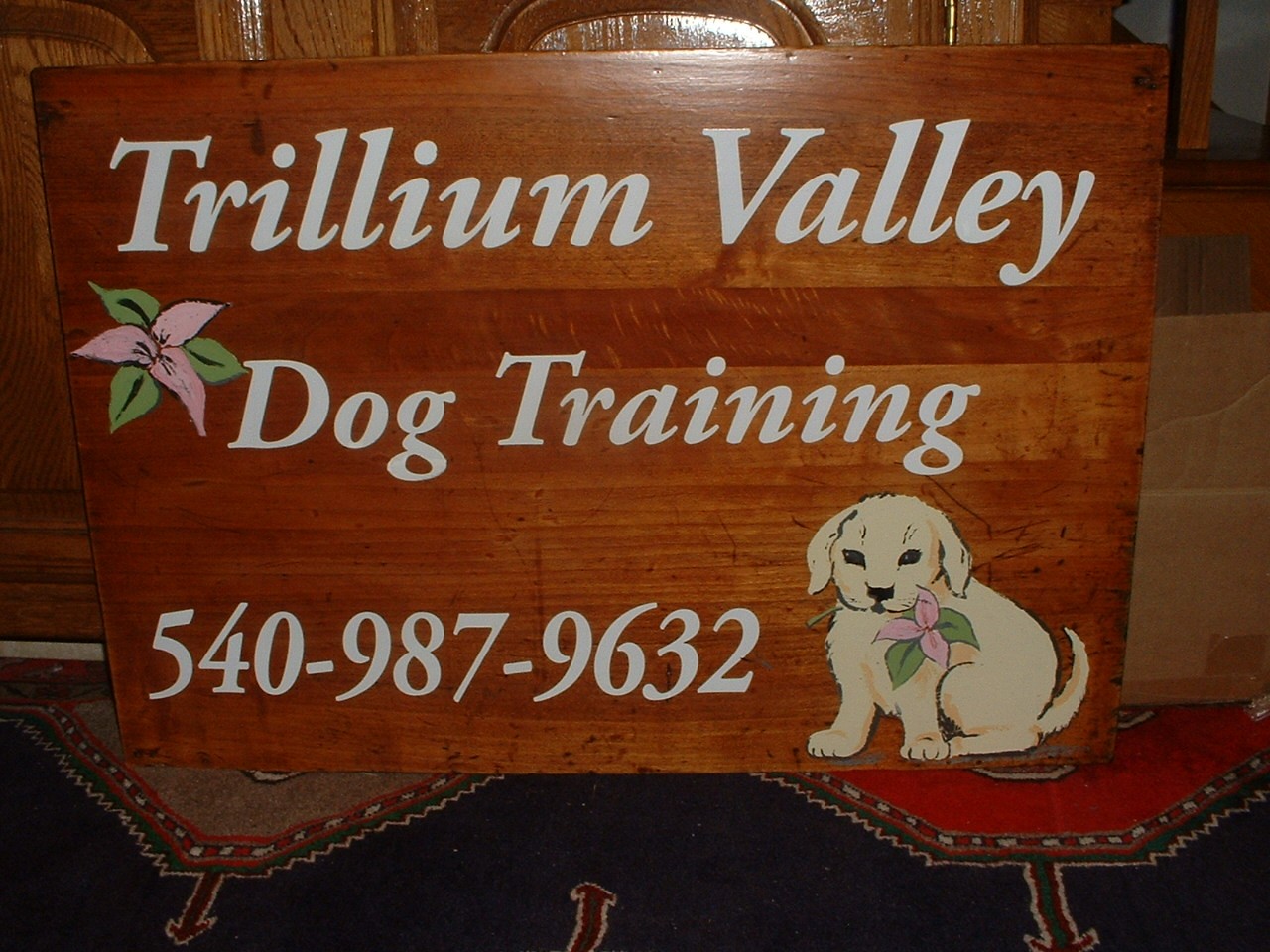 Trillium Valley Dog Training, LLC picture