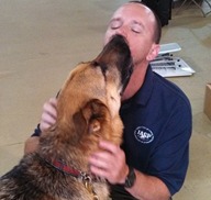 Brad Strickland - Dog Trainer picture