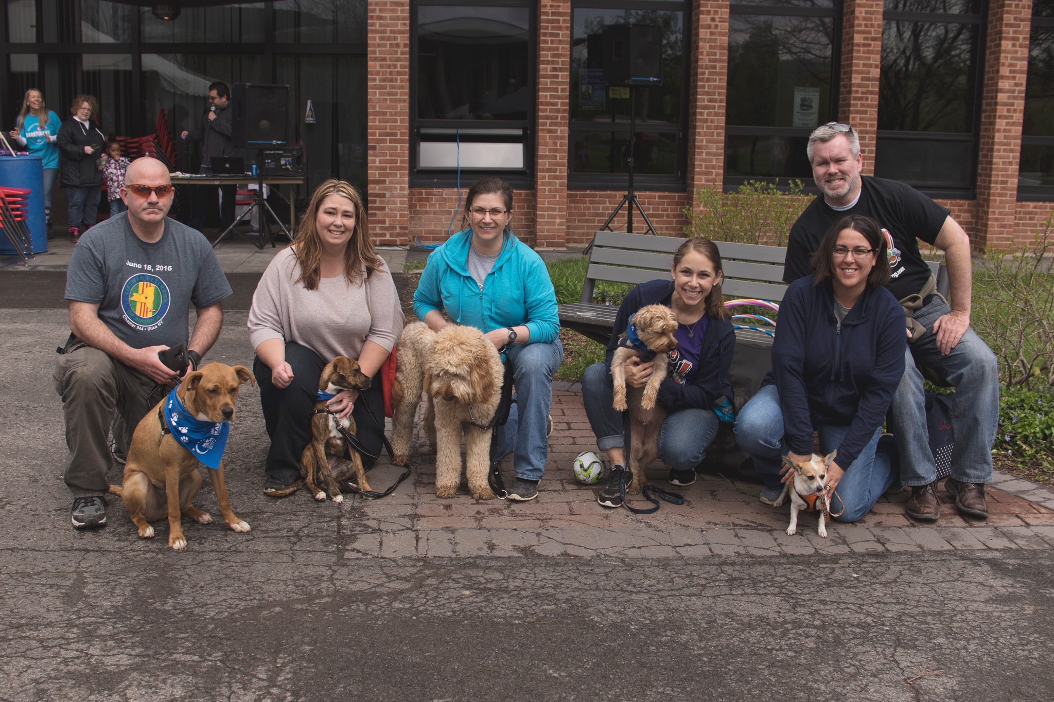 CNY Canine Coaching Karen Serianni, CPDT-KA picture