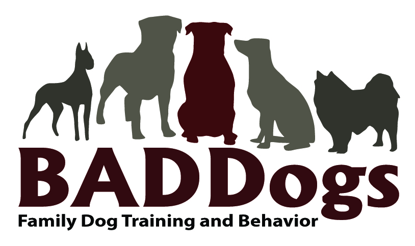 BADDogsInc Family Dog Training & Behavior picture