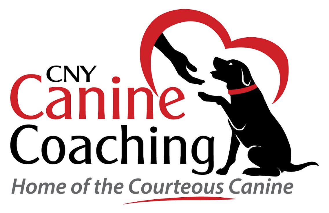 CNY Canine Coaching Karen Serianni, CPDT-KA picture