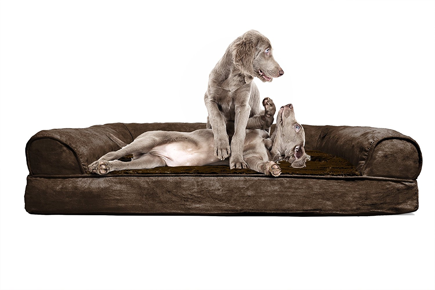 FurHaven Orthopedic Dog Couch picture