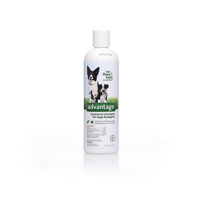 Advantage Treatment Shampoo for Dogs Shampoo - 12 oz. picture