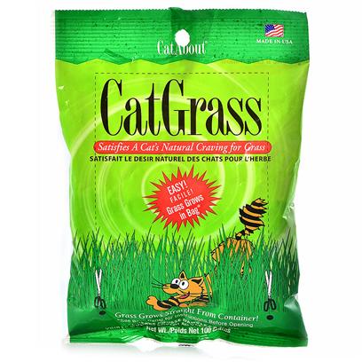 Cat Grass Plus 100gm Bag picture
