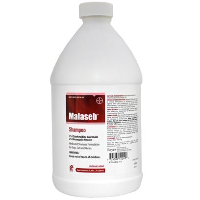 Malaseb Shampoo 237 ml picture