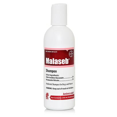 Malaseb Shampoo 8 oz. picture
