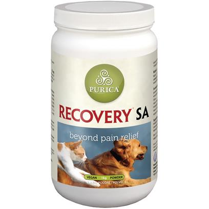 Recovery SA Powder 350 g picture